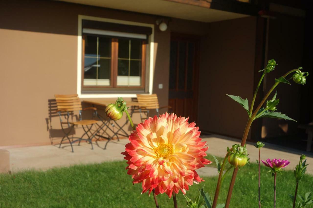 Apartment Steinkellner Tröpolach Buitenkant foto